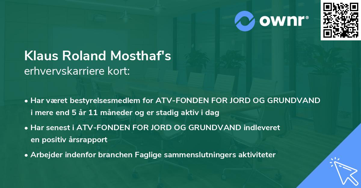 Klaus Roland Mosthaf's erhvervskarriere kort