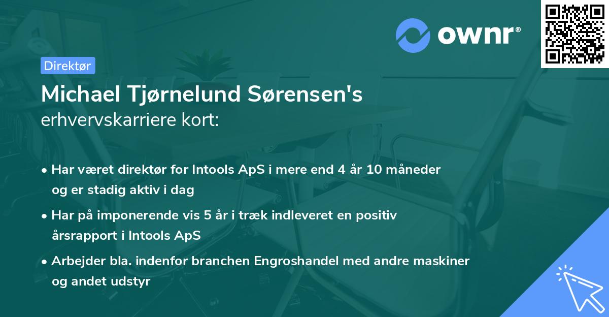 Michael Tjørnelund Sørensen's erhvervskarriere kort