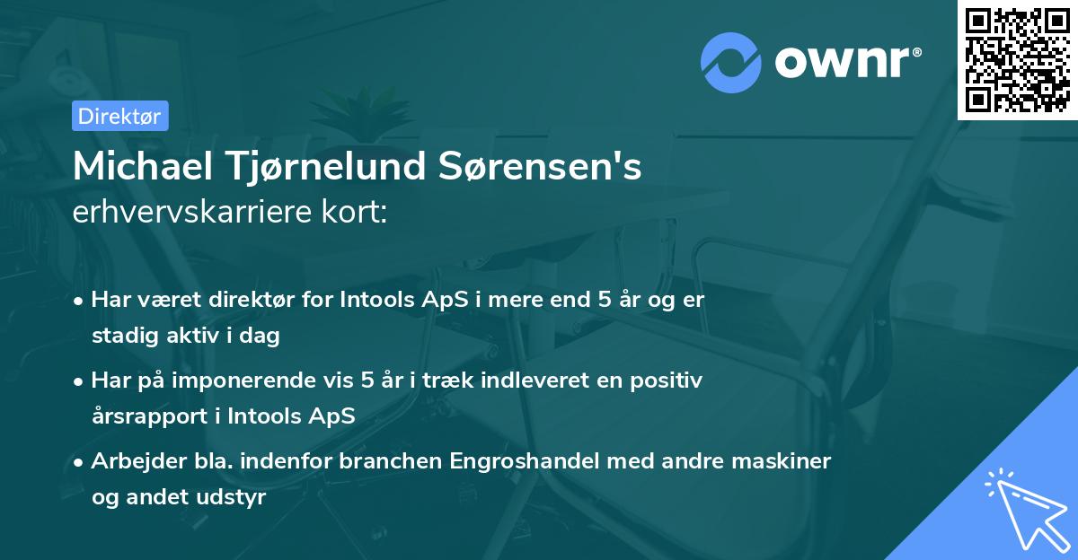 Michael Tjørnelund Sørensen's erhvervskarriere kort