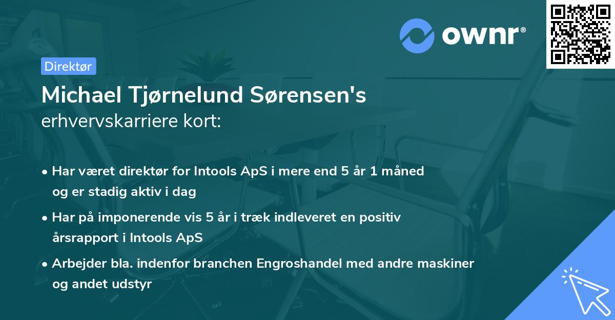 Michael Tjørnelund Sørensen's erhvervskarriere kort