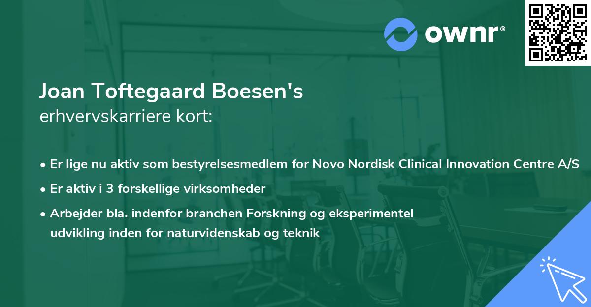 Joan Toftegaard Boesen's erhvervskarriere kort