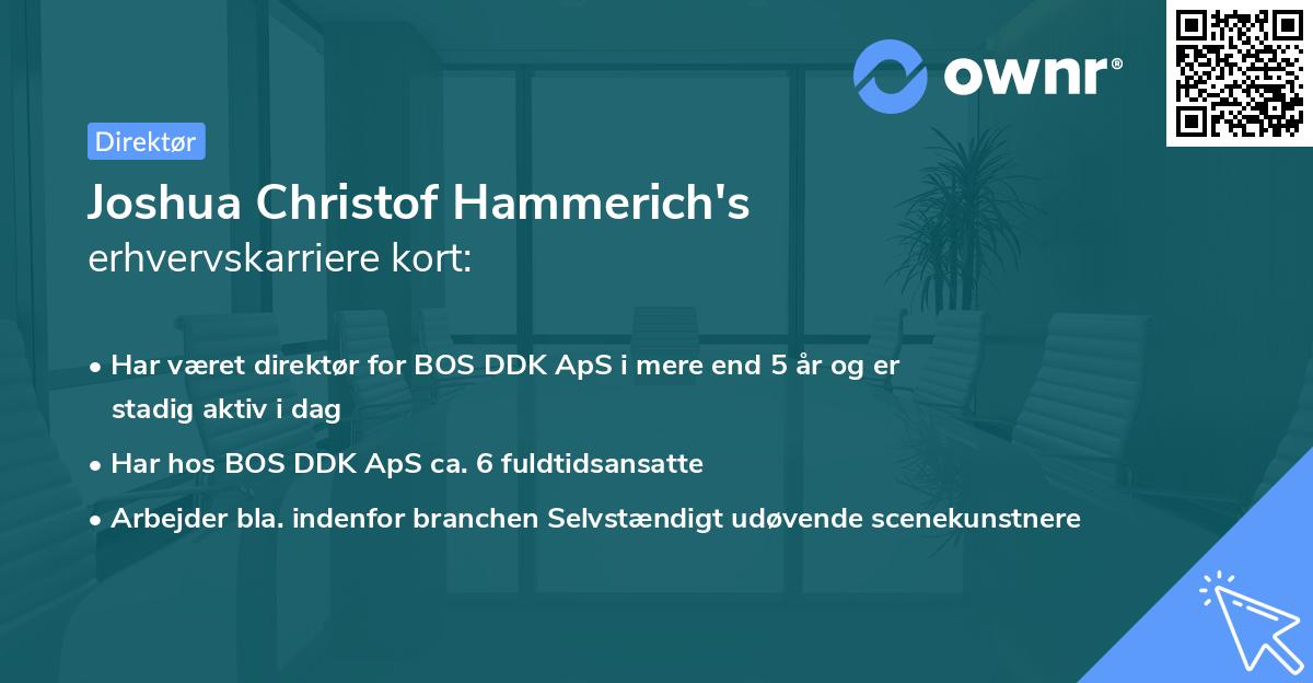 Joshua Christof Hammerich's erhvervskarriere kort
