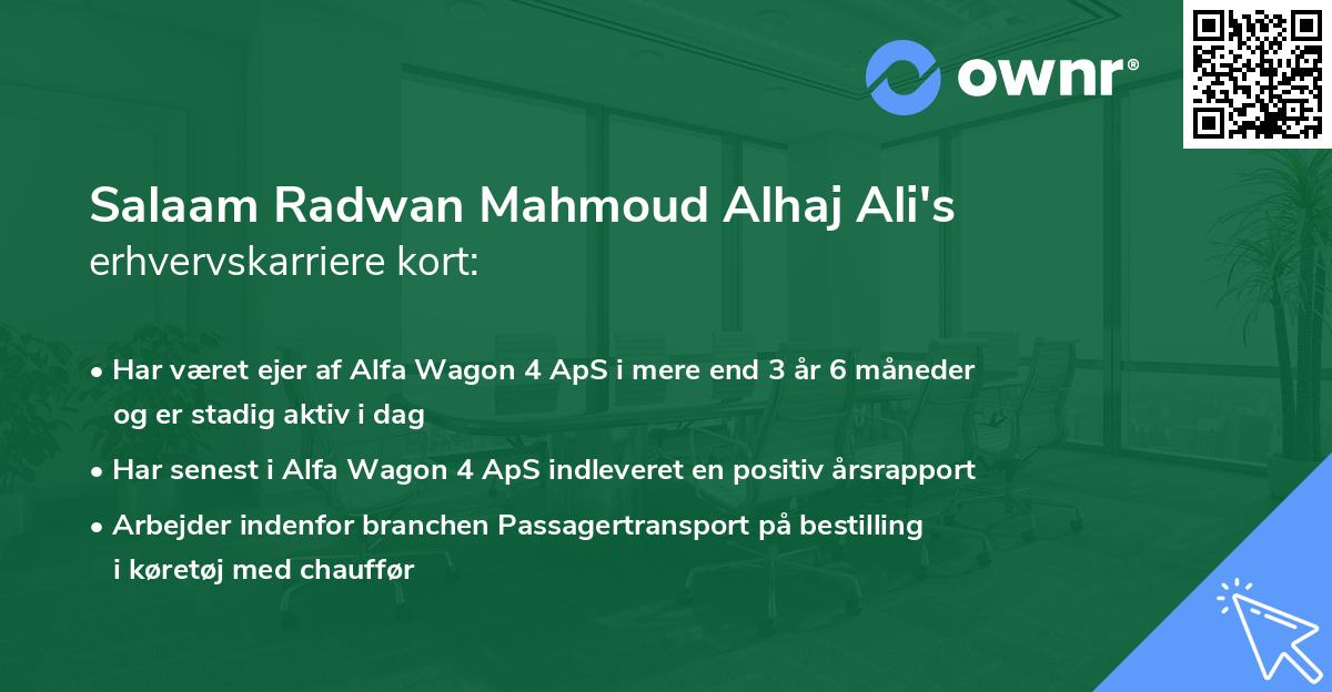 Salaam Radwan Mahmoud Alhaj Ali's erhvervskarriere kort