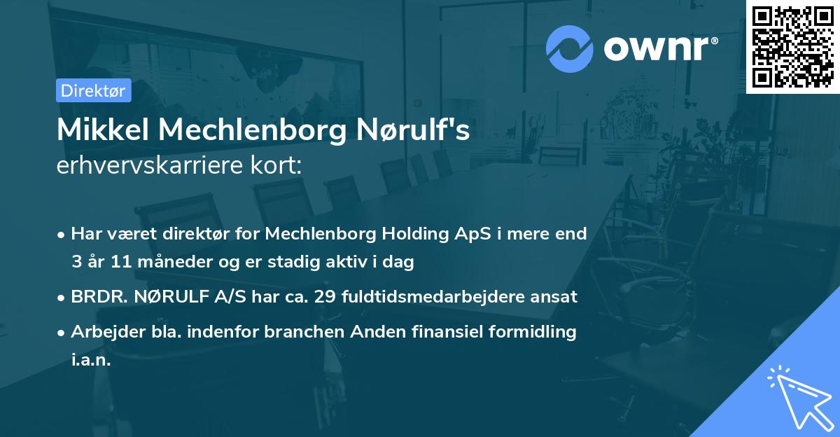 Mikkel Mechlenborg Nørulf's erhvervskarriere kort