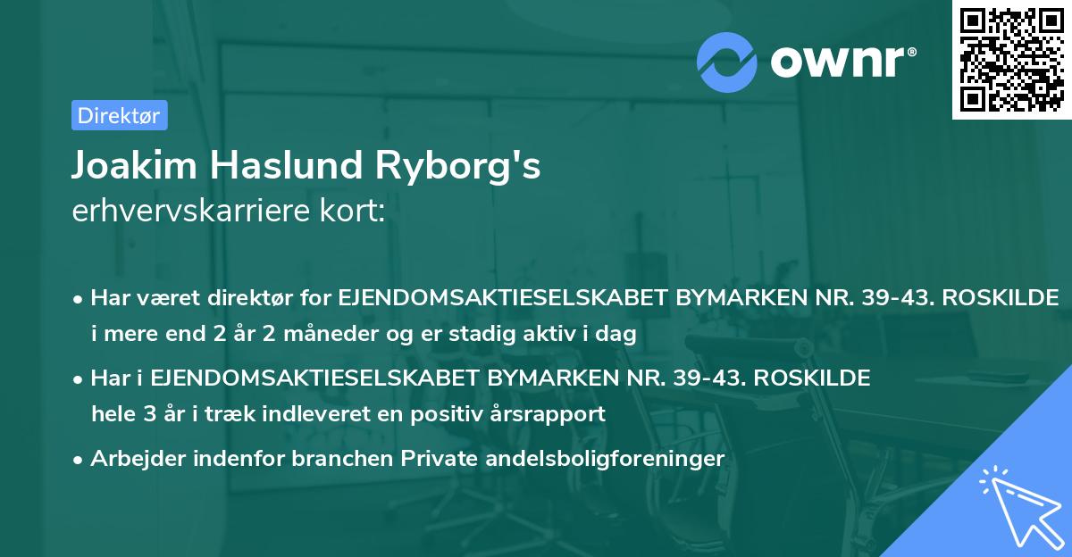 Joakim Haslund Ryborg's erhvervskarriere kort