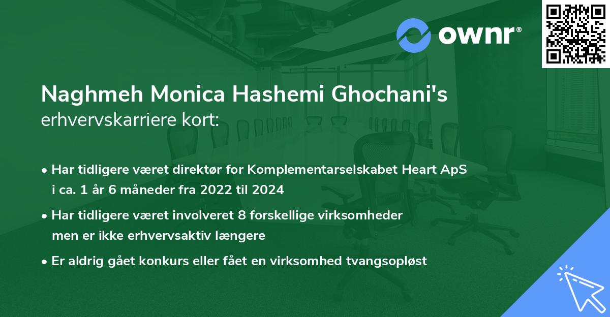 Naghmeh Monica Hashemi Ghochani's erhvervskarriere kort