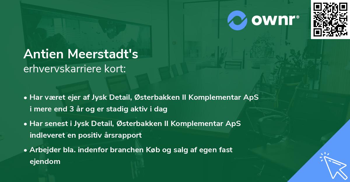 Antien Meerstadt's erhvervskarriere kort