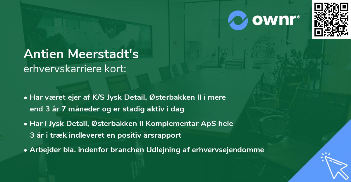 Antien Meerstadt's erhvervskarriere kort