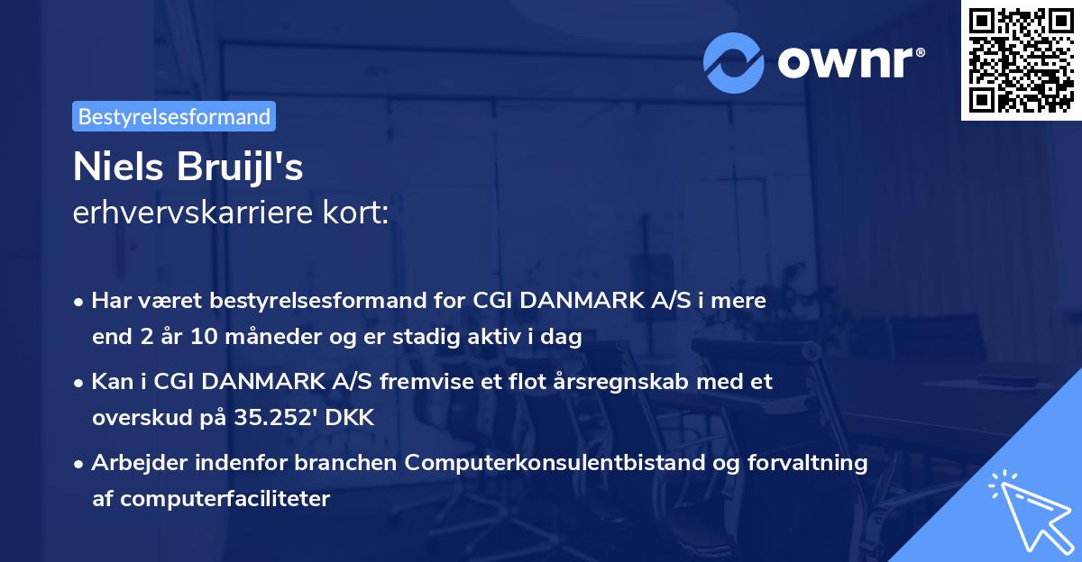 Niels Bruijl's erhvervskarriere kort