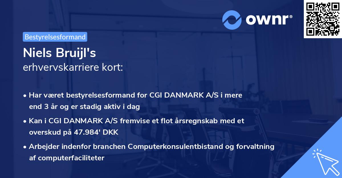 Niels Bruijl's erhvervskarriere kort