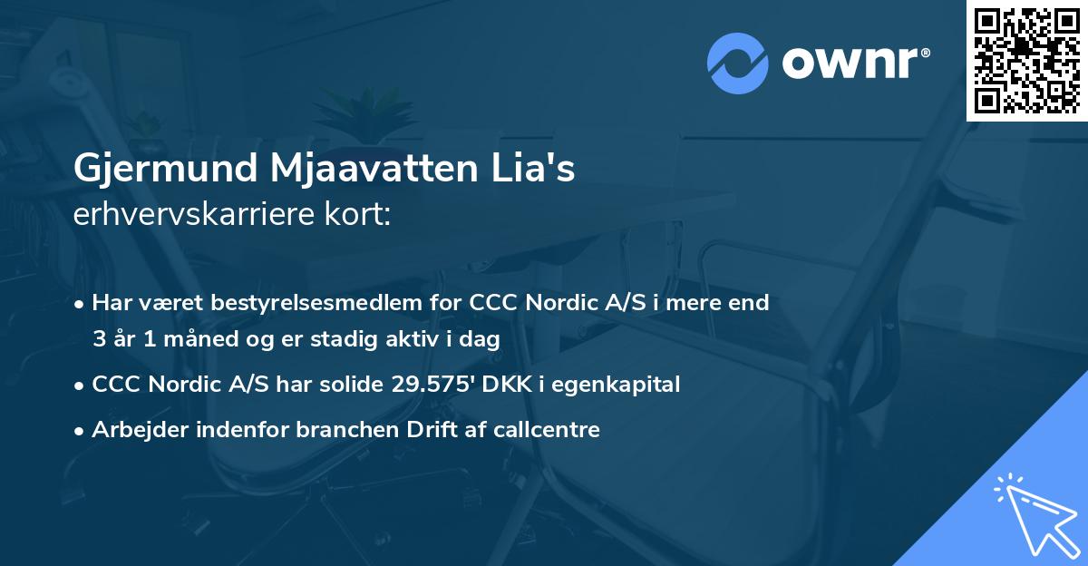 Gjermund Mjaavatten Lia's erhvervskarriere kort