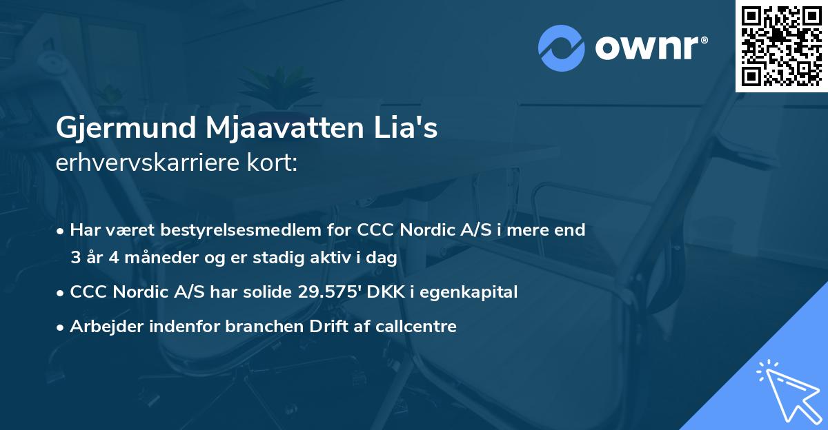 Gjermund Mjaavatten Lia's erhvervskarriere kort