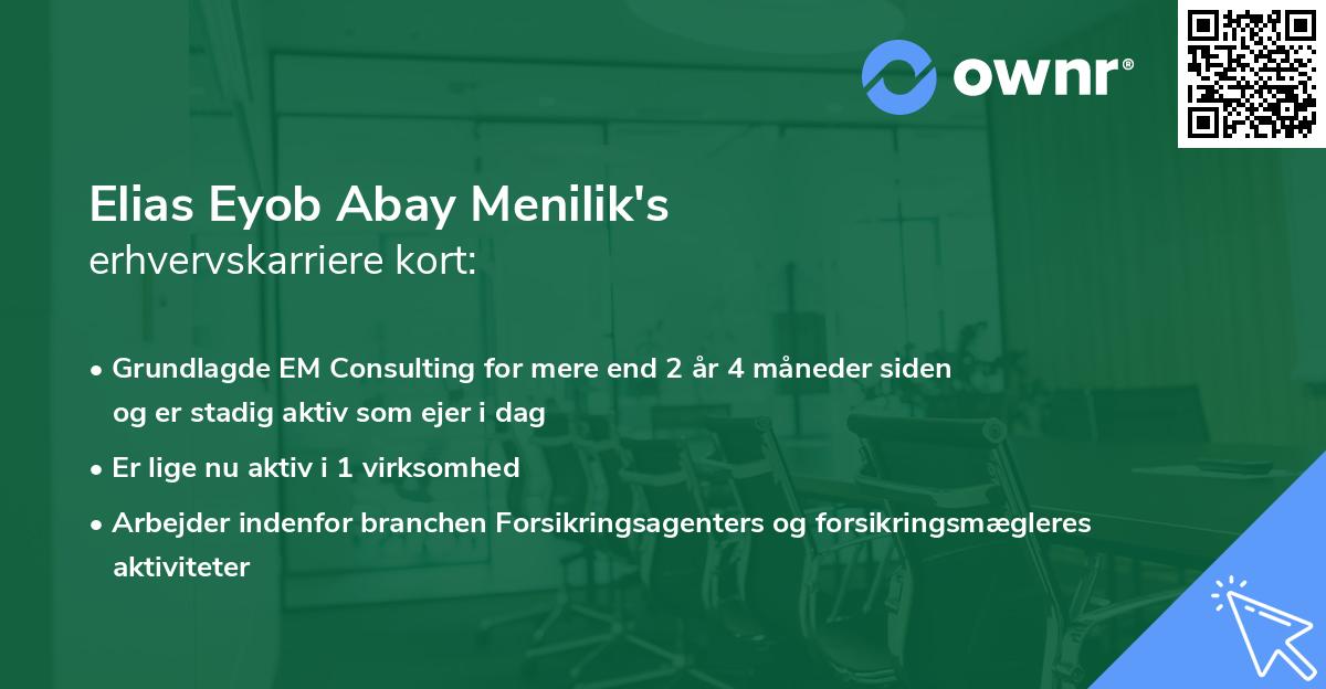 Elias Eyob Abay Menilik's erhvervskarriere kort