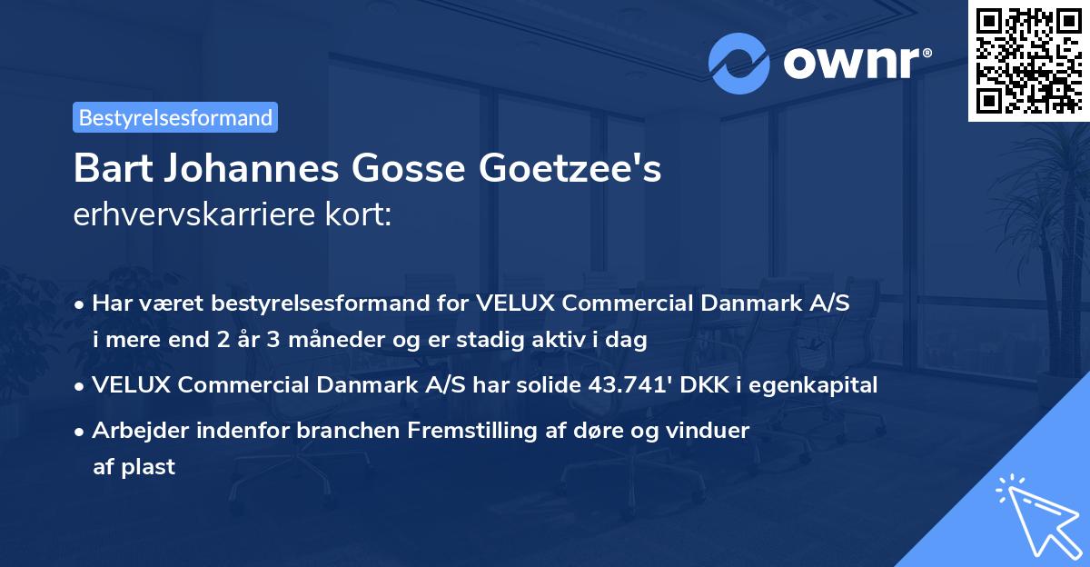 Bart Johannes Gosse Goetzee's erhvervskarriere kort