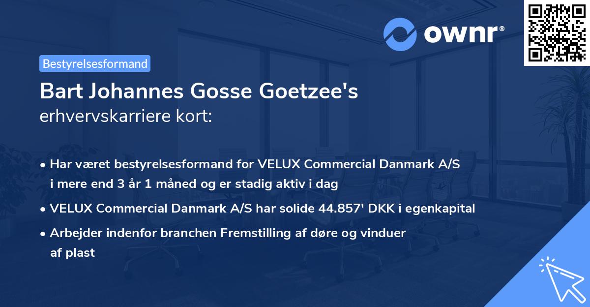 Bart Johannes Gosse Goetzee's erhvervskarriere kort