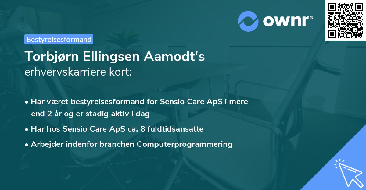 Torbjørn Ellingsen Aamodt's erhvervskarriere kort