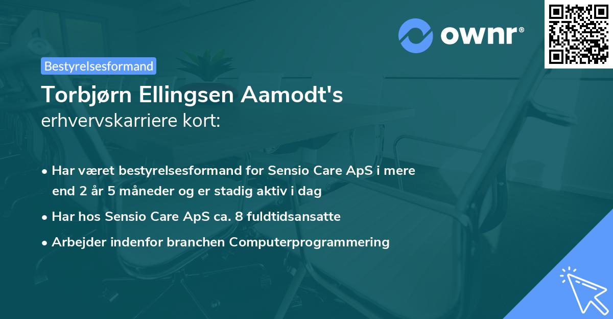 Torbjørn Ellingsen Aamodt's erhvervskarriere kort