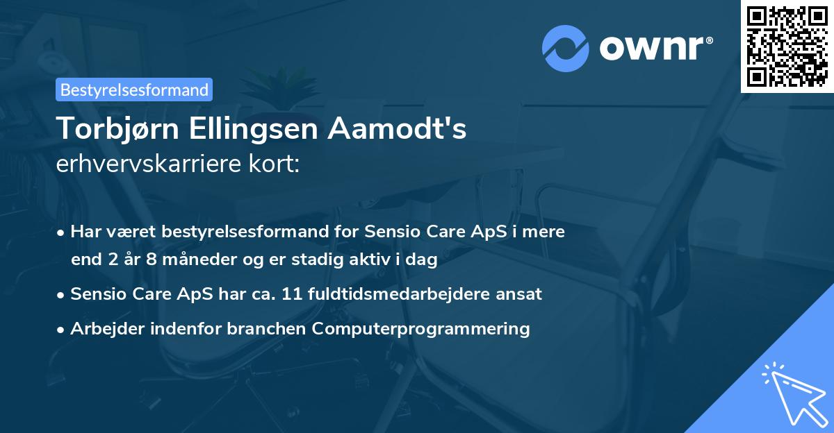 Torbjørn Ellingsen Aamodt's erhvervskarriere kort