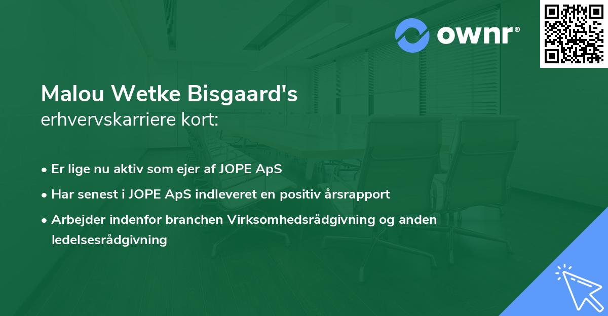 Malou Wetke Bisgaard's erhvervskarriere kort
