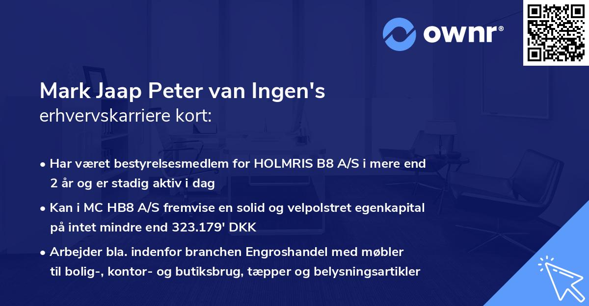 Mark Jaap Peter van Ingen's erhvervskarriere kort