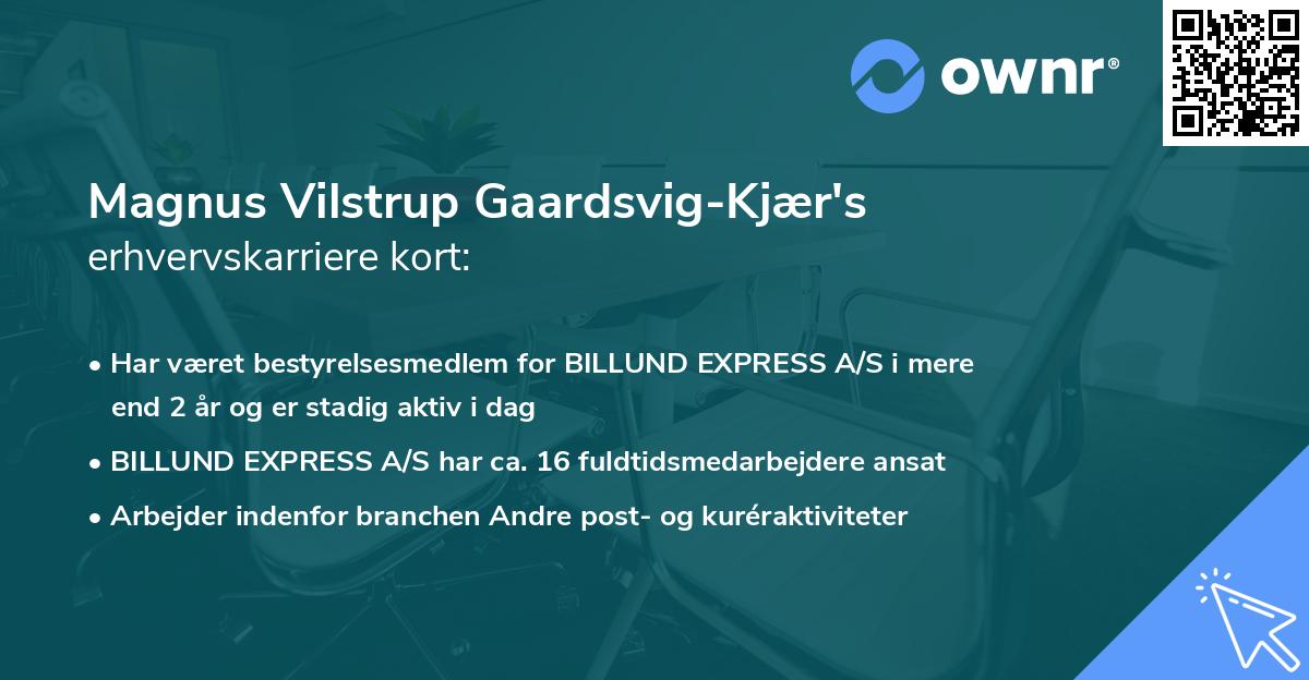 Magnus Vilstrup Gaardsvig-Kjær's erhvervskarriere kort