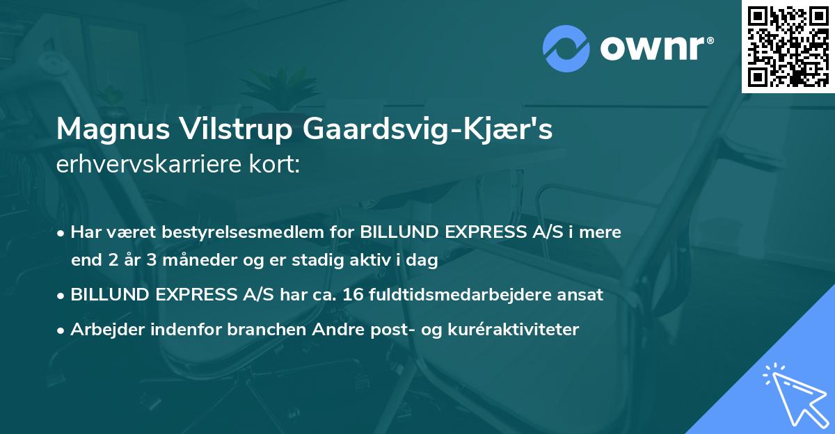 Magnus Vilstrup Gaardsvig-Kjær's erhvervskarriere kort