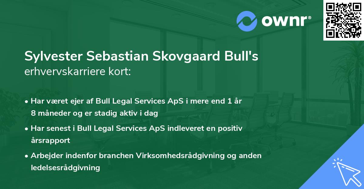 Sylvester Sebastian Skovgaard Bull's erhvervskarriere kort