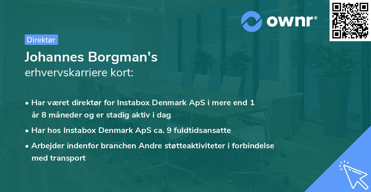 Johannes Borgman's erhvervskarriere kort