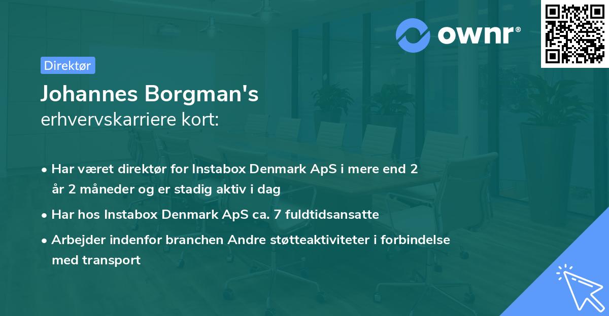 Johannes Borgman's erhvervskarriere kort