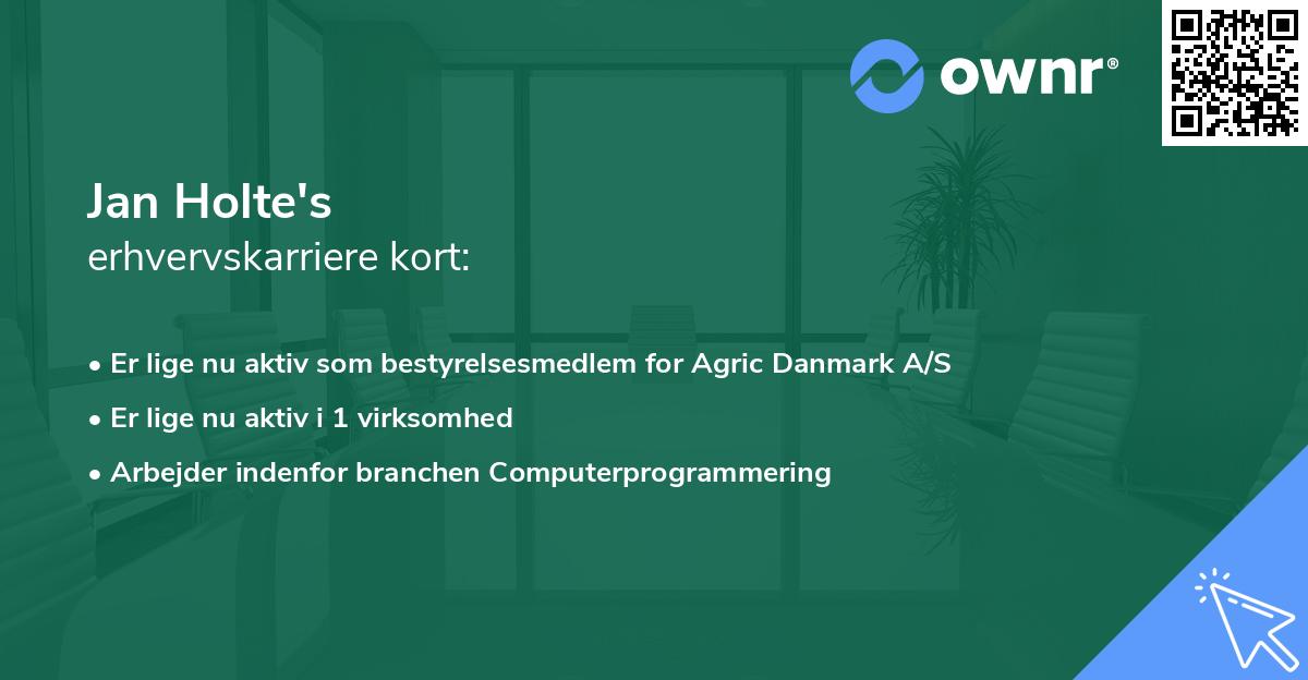 Jan Holte's erhvervskarriere kort
