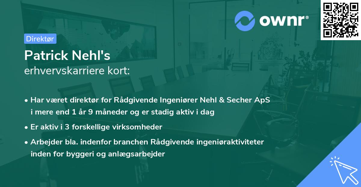 Patrick Nehl's erhvervskarriere kort