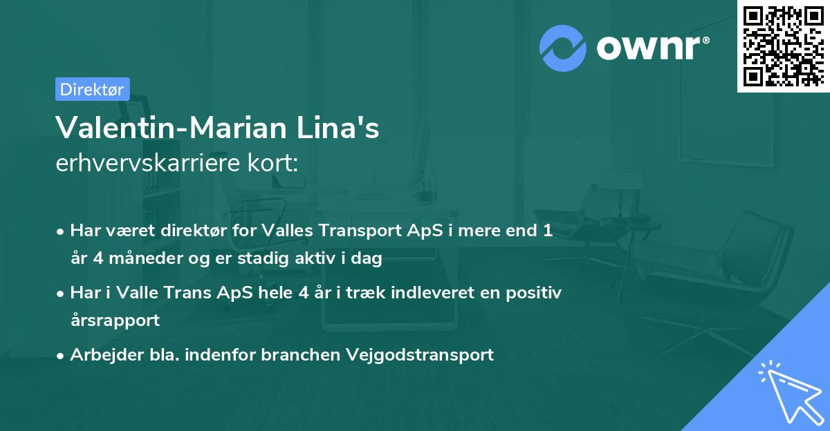 Valentin-Marian Lina's erhvervskarriere kort