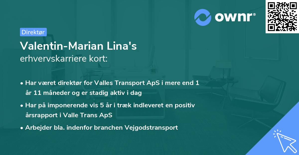 Valentin-Marian Lina's erhvervskarriere kort