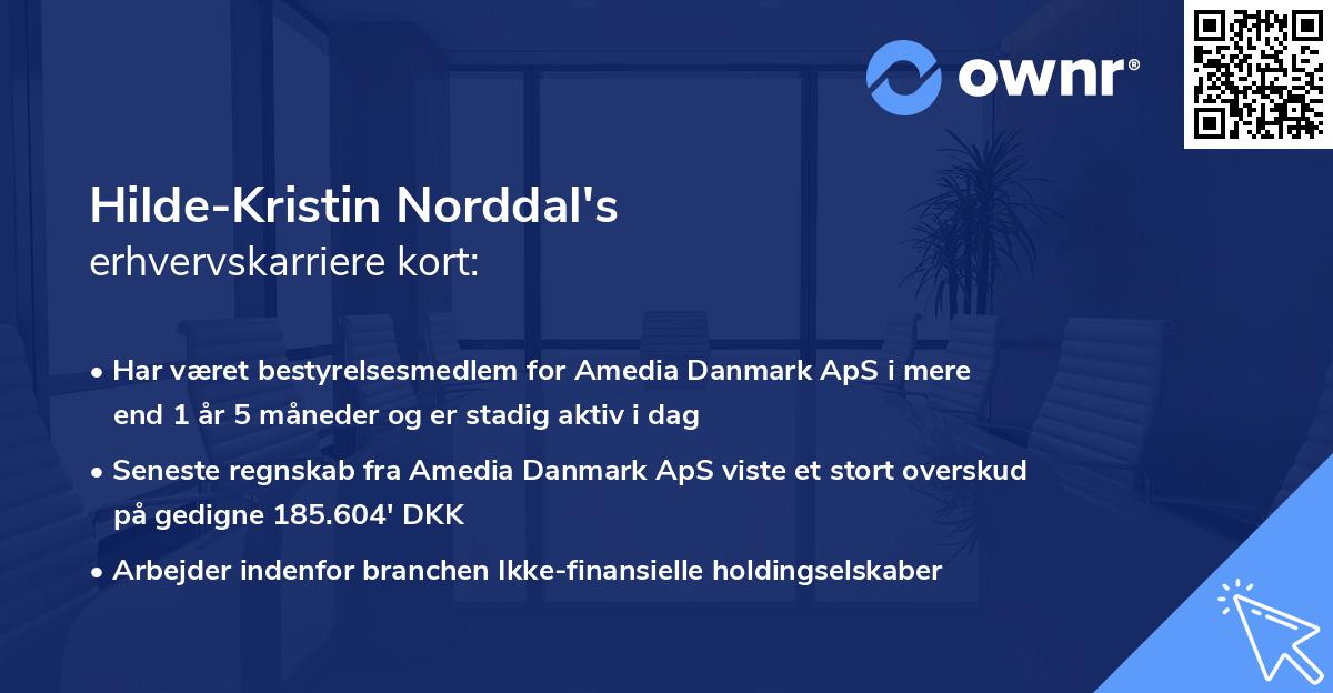 Hilde-Kristin Norddal's erhvervskarriere kort