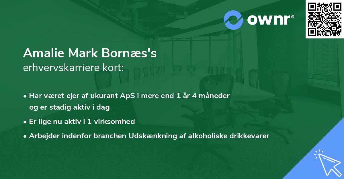 Amalie Mark Bornæs's erhvervskarriere kort