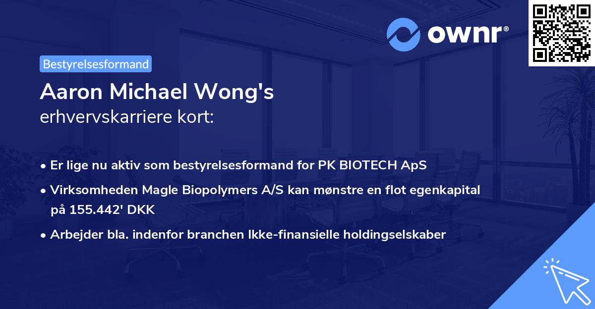 Aaron Michael Wong's erhvervskarriere kort