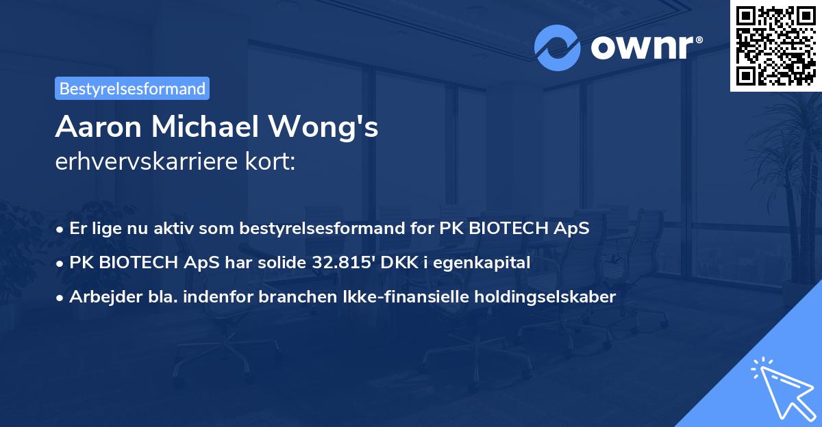 Aaron Michael Wong's erhvervskarriere kort