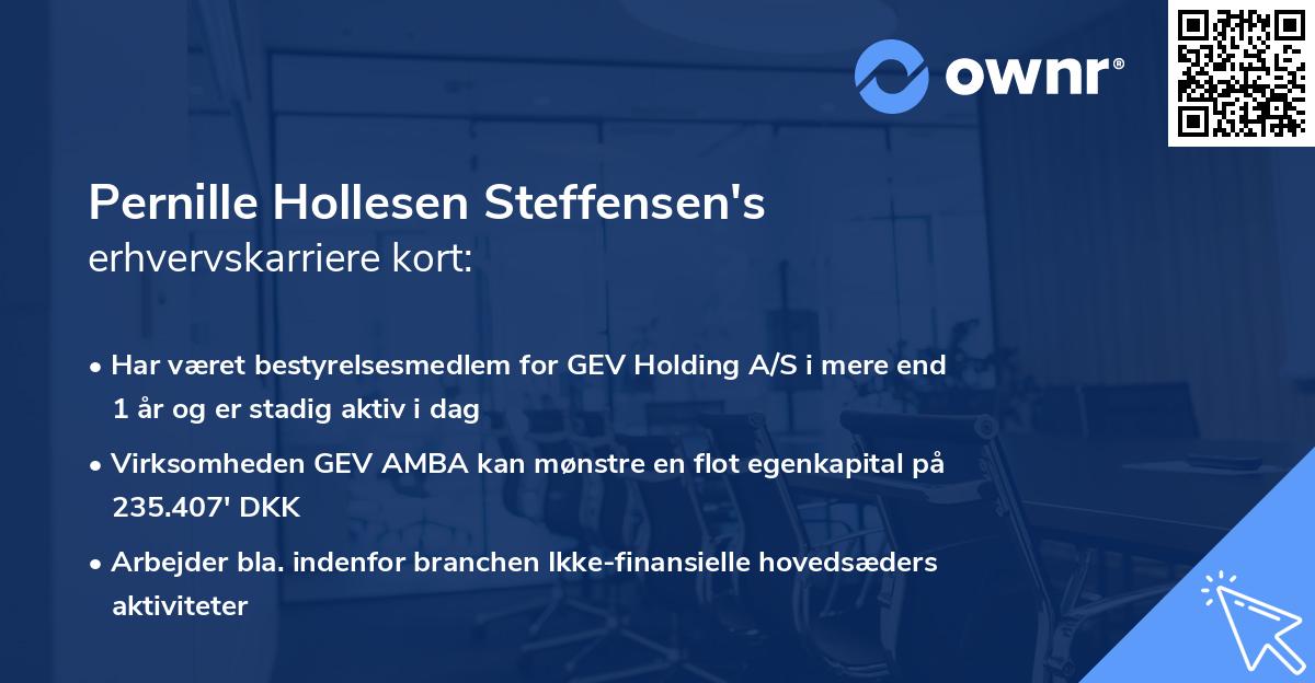Pernille Hollesen Steffensen's erhvervskarriere kort