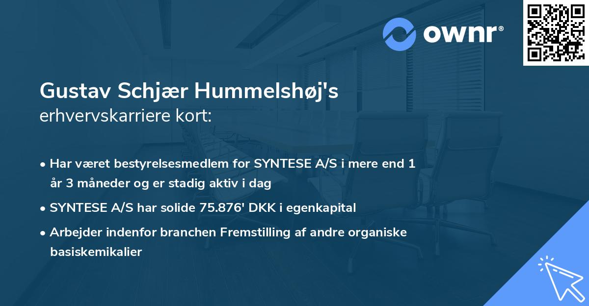 Gustav Schjær Hummelshøj's erhvervskarriere kort