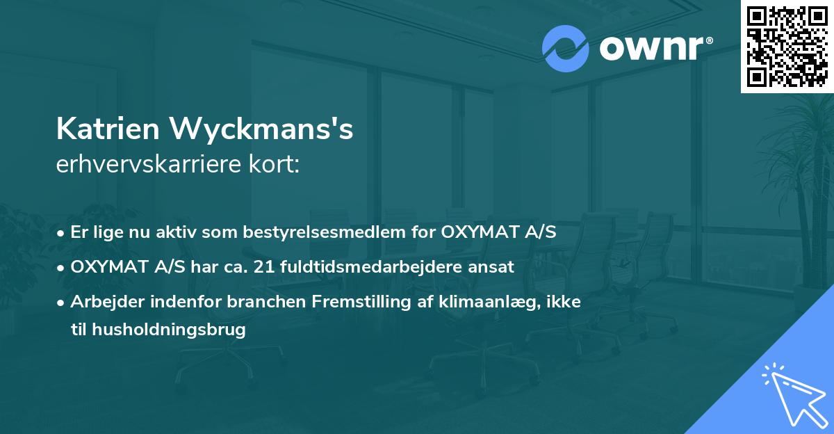 Katrien Wyckmans's erhvervskarriere kort