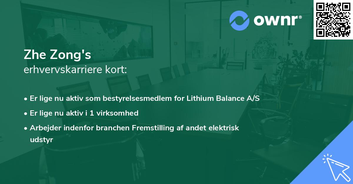 Zhe Zong's erhvervskarriere kort