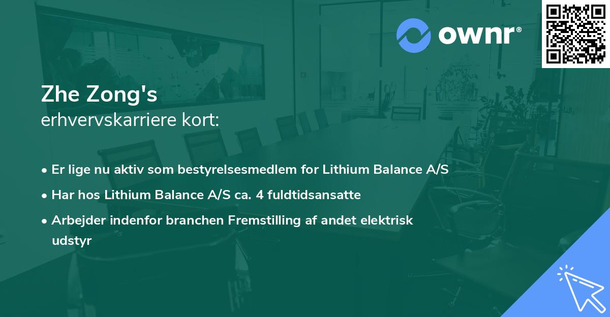 Zhe Zong's erhvervskarriere kort