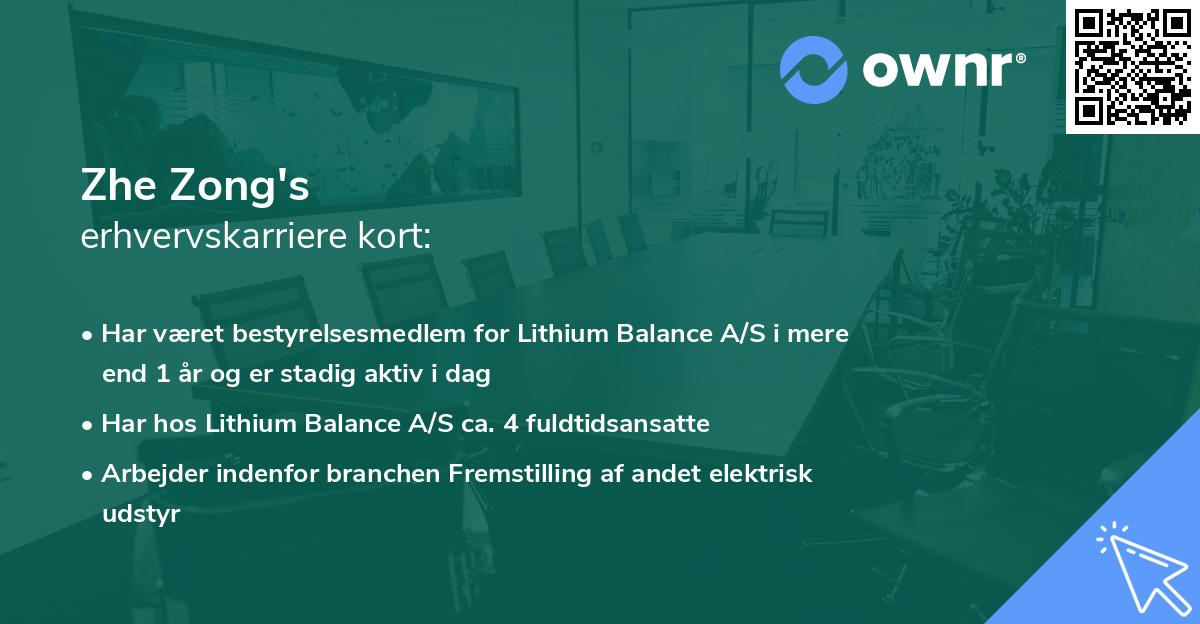 Zhe Zong's erhvervskarriere kort