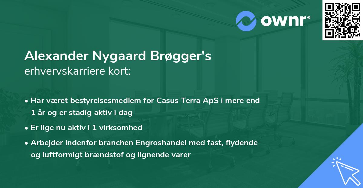 Alexander Nygaard Brøgger's erhvervskarriere kort
