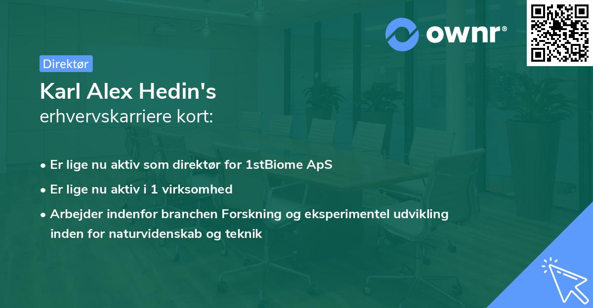 Karl Alex Hedin's erhvervskarriere kort