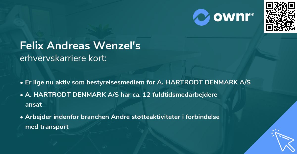 Felix Andreas Wenzel's erhvervskarriere kort
