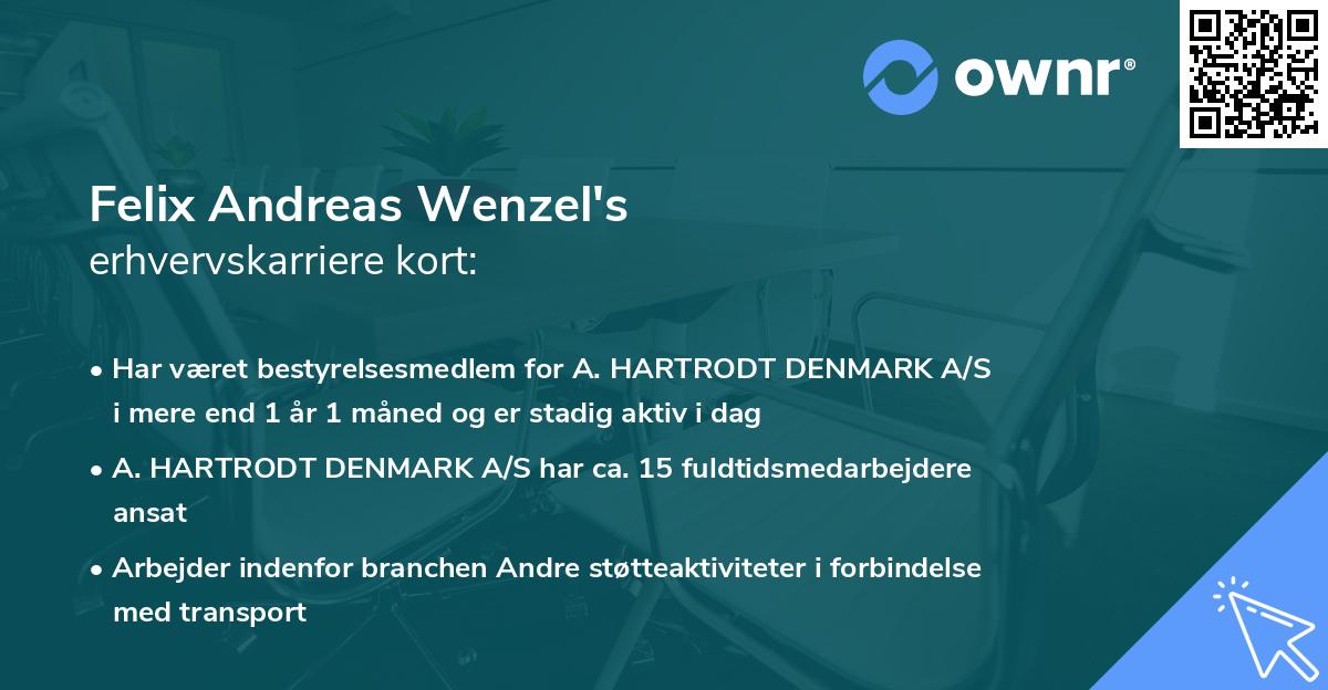 Felix Andreas Wenzel's erhvervskarriere kort