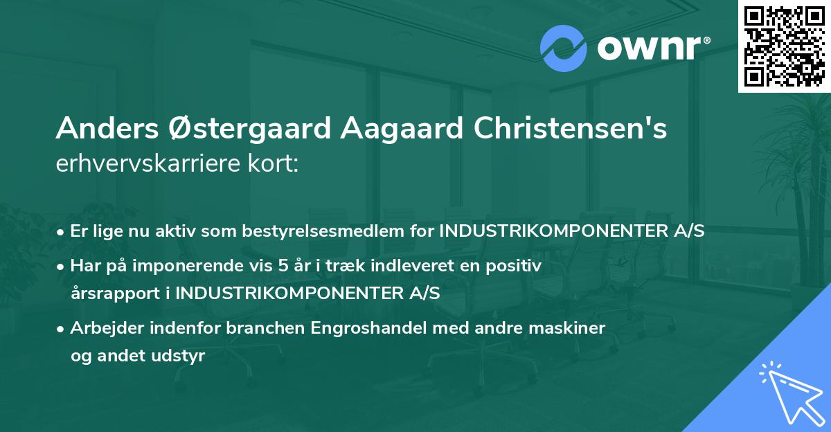 Anders Østergaard Aagaard Christensen's erhvervskarriere kort