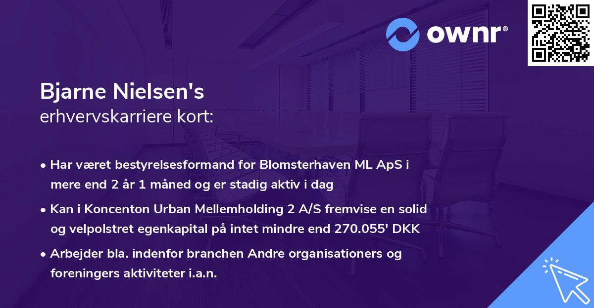 Bjarne Nielsen's erhvervskarriere kort