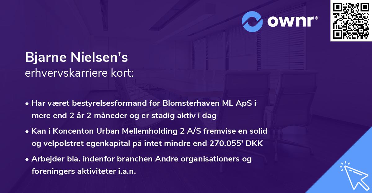 Bjarne Nielsen's erhvervskarriere kort